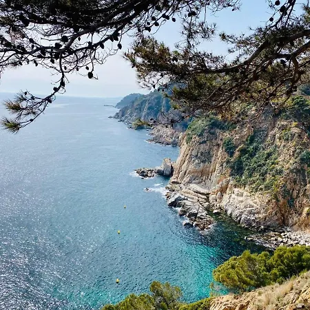 Vidabrava, Tossa Medievo, A 150 M De La Playa