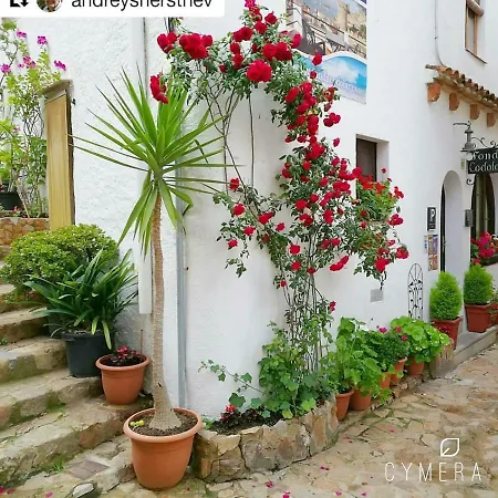 Apartment Vidabrava, Tossa Medievo, A 150 M De La Playa