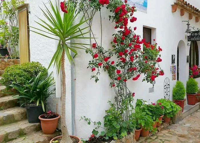 Appartamento Vidabrava, Tossa Medievo, A 150 M De La Playa